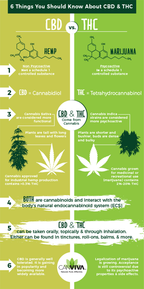 Indica Sativa Hybrid Chart