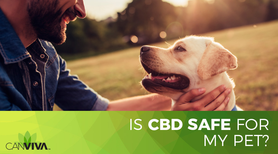 Is CBD safe for my pet?