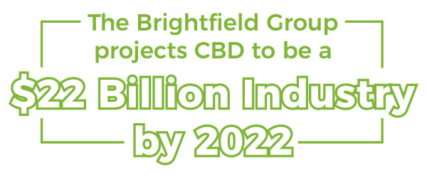 $22 Billion Industry by 2022