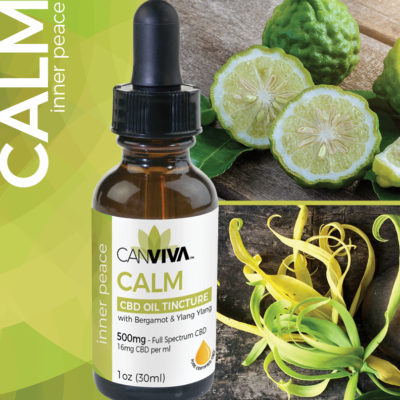 CANVIVA 500mg CBD for mental wellness