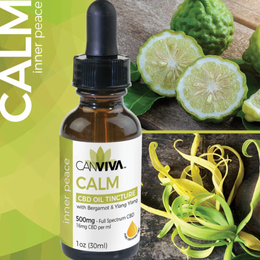 CANVIVA 500mg CBD for mental wellness