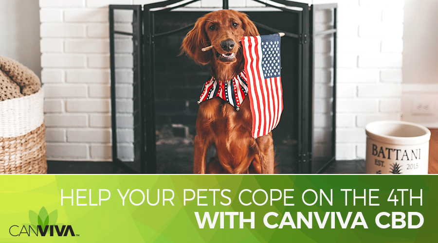 Blog: Fireworks can be frightening and stressful for cats and dogs. There are many things you can do to prepare a safe space for your pet, and CBD may help your pet during fireworks.