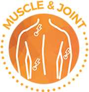 Icon_MuscleJoint