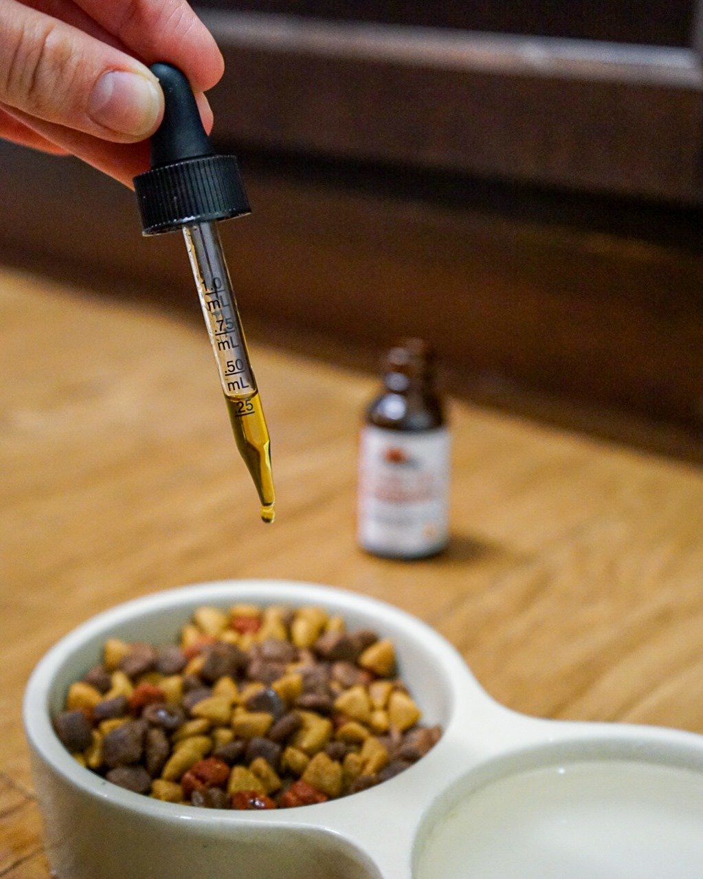 CANVIVA CBD is Great for Pets