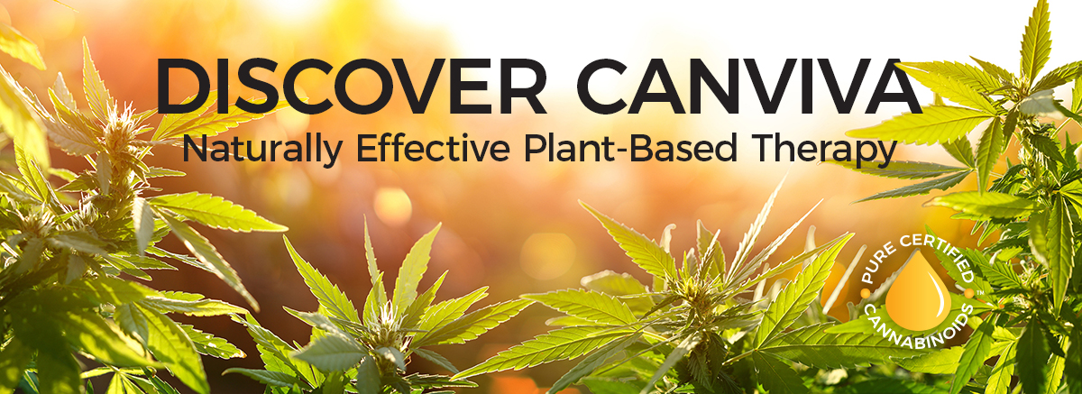 Cannabis With Flowers At Sunset - Sativa Herb - Legal Marijuana CANVIVA CBD
