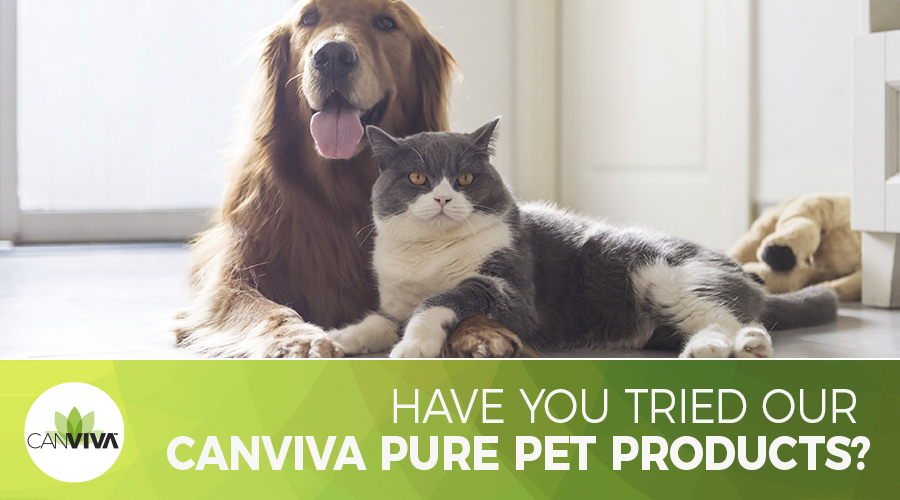 CANVIVA CBD for Pets