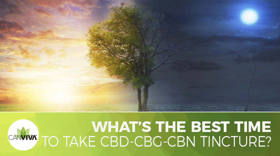 When To Take CBD-CBG-CBN?